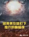 综英美在路灯下独行的蝙蝠侠章节列表