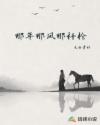 那年那风那杆枪章节列表