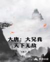 大唐：大兄我天下无敌章节列表