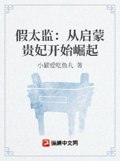 假太监：从启蒙贵妃开始崛起章节列表