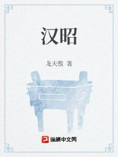 汉昭章节列表
