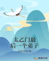 太乙门最后一个弟子章节列表