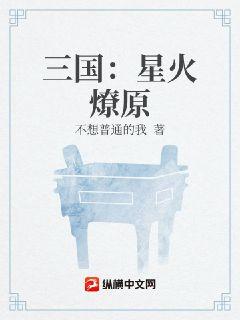 三国：星火燎原章节列表