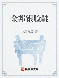 金邦银脸鞋章节列表