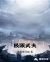 极限武夫章节列表