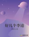 好几个李逵章节列表
