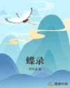 蝶录章节列表
