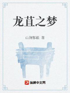 龙苴之梦章节列表
