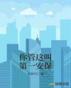 你管这叫第一安保章节列表