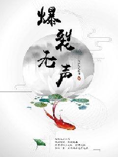 爆裂无声章节列表