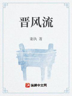 晋风流章节列表