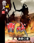曹贼章节列表