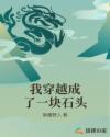 我穿越成了一块石头章节列表