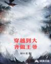 穿越到大齐做王爷章节列表