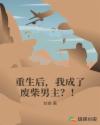 重生后，我成了废柴男主？！章节列表
