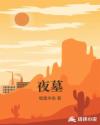 夜墓章节列表
