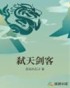 弑天剑客章节列表