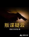 叛谍疑云章节列表