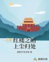 红楼之凌云志章节列表
