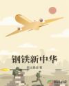 钢铁新中华章节列表