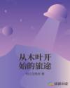 从木叶开始的旅途章节列表