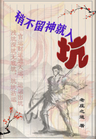 稍不留神就入坑章节列表