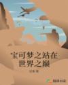 宝可梦之站在世界之巅章节列表