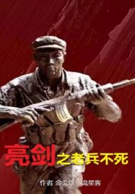 亮剑之老兵不死章节列表