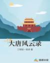 大唐风云录章节列表