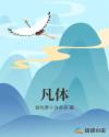凡体章节列表