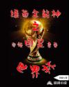 绿茵全能神之率领国足勇夺世界杯章节列表