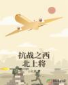 抗战之西北上将章节列表