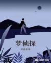 梦侦探章节列表