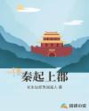 秦起上郡章节列表