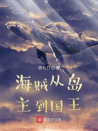 海贼从岛主到国王章节列表
