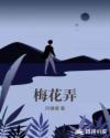 梅花弄章节列表