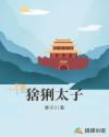 猞猁太子章节列表