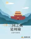 三国之我是周瑜章节列表