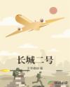 长城二号章节列表