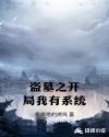 盗墓之开局我有系统章节列表
