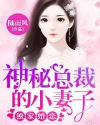 独家婚恋：神秘总裁的小妻子章节列表