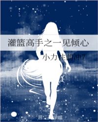 灌篮高手之一见倾心章节列表
