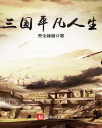 三国平凡人生章节列表