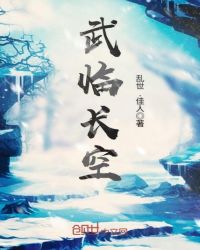 武临长空章节列表