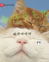 肥仔马飞传章节列表