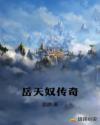 岳天奴传奇章节列表