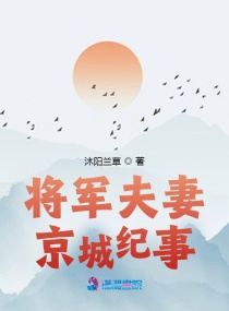 将军夫妻京城纪事章节列表