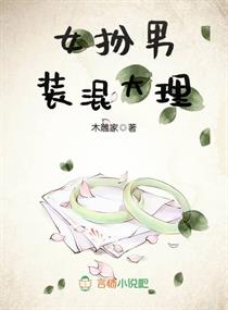 女扮男装混大理章节列表