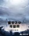重生之少年皇帝章节列表