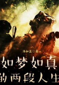 如梦如真的两段人生！章节列表
